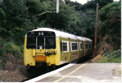 
Raroa Station, DM44 and Tui Tunnel No 7, February 2004